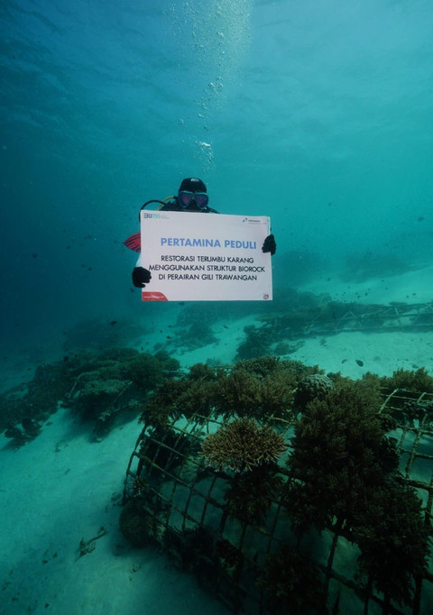 Restorasi terumbu karang yang dilakukan PT Pertamina International Shipping (PIS) dalam memperingati HUT ke-79 RI di kawasan Gili Trawangan, Lombok, NTB. Foto: Dok. Pertamina