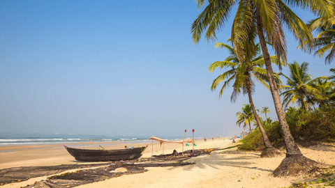 Goa, India. Foto: Shutterstock