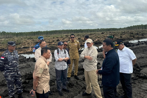  Menteri Pertanian, Andi Amran Sulaiman di Merauke. Foto: Dok. Istimewa