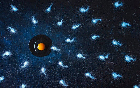 Ilustrasi Saat Spermatogonium Mengalami Pembelahan Mitosis, maka akan Membentuk Spermatosit    Sumber Unsplash/85GB Photo
