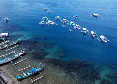 Foto aerial sejumlah wisatawan melihat Hiu Paus (Rhincodon Typus) dengan men...                    </div>

                    <div class=