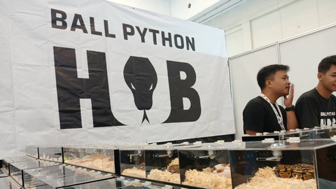 Suasana acara Indonesia International Pet Expo (IIPE) 2024 di ICE BSD, Tangerang, Sabtu (7/9/2024). Foto: Dok. kumparan