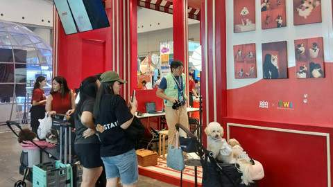 Suasana acara Indonesia International Pet Expo (IIPE) 2024 di ICE BSD, Tangerang, Sabtu (7/9/2024). Foto: Dok. kumparan