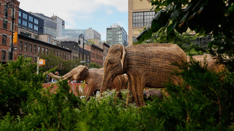 Bangunan gajah India seukuran aslinya yang berdiri di distrik Meatpacking sebagai bagian dari instalasi seni publik 'The Great Elephant Migration' di New York City, AS, 06 September 2024.    Foto: REUTERS/Adam Gray