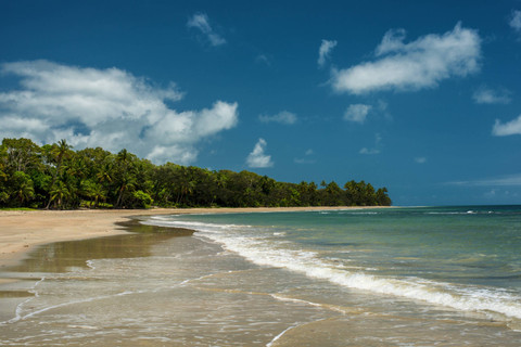 Daintree Rainforest, Australia. Foto: Shutterstock
