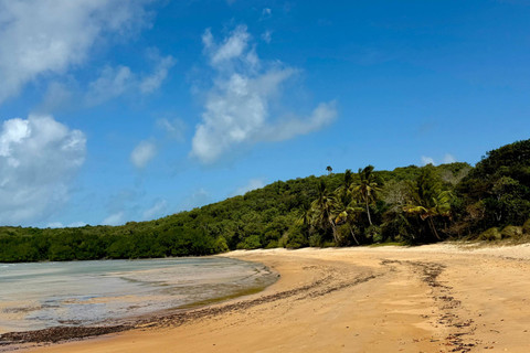 Cape Tribulation, Australia. Foto: Shutterstock