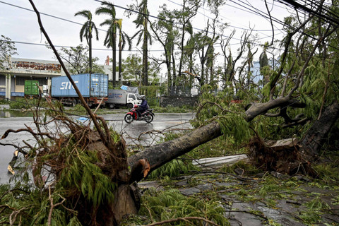Seorang pria mengendarai sepeda motornya melewati pohon yang tumbang di sebuah jalan setelah Topan Super Yagi menghantam Hai Phong, Vietnam, Minggu (8/9/2024). Foto: Nhac NGUYEN/AFP