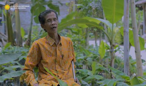 Mbah Lasiyo, 'Profesor Pisang' dari Bantul meninggal dunia. Foto: Kementerian Pertanian