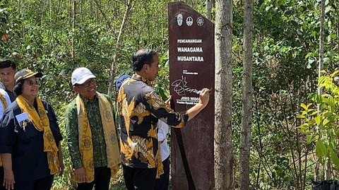 Presiden Jokowi menanam pohon di kawasan IKN. Foto: Zamachsyari/kumparan