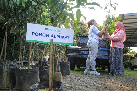 Progam BRI Menanam sebagai langkah mendukung penghijauan. Foto: dok. BRI