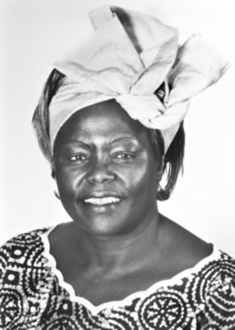 Wangari Maathai. Foto: The Nobel Prize