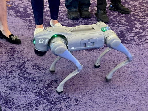 Robot Anjing di Perayaan 75 Tahun Republik Rakyat China di Hotel Raffles Jakarta Selatan pada Kamis (19/9/2024). Foto: Tiara Hasna/kumparan