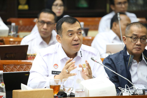 Direktur Jenderal (Dirjen) Imigrasi Silmy Karim. Foto: Dok. Imigrasi