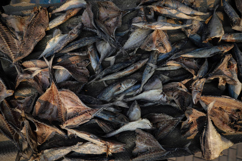 Hasil tangkapan nelayan di Muara Angke, Jakarta Utara. Foto: Iqbal Firdaus/kumparan