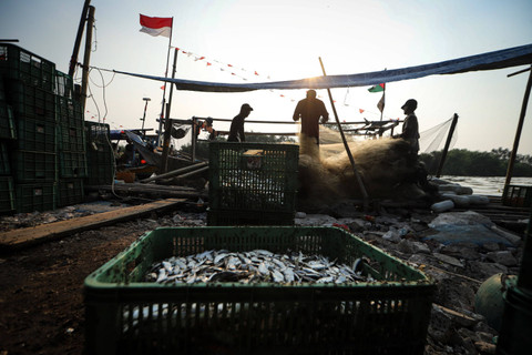 Sejumlah nelayan beraktivitas di Muara Angke, Jakarta Utara. Foto: Iqbal Firdaus/kumparan