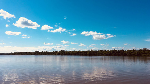 Sungai Digul. Foto: Shutterstock