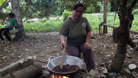 Kampung Merasa, kampung kecil di Kabupaten Berau, Kalimantan Timur, berhasil membangkitkan ekonomi lokal melalui inovasi kakao yang berakar dari tradisi dan kearifan lokal. Foto: Dok. YKAN