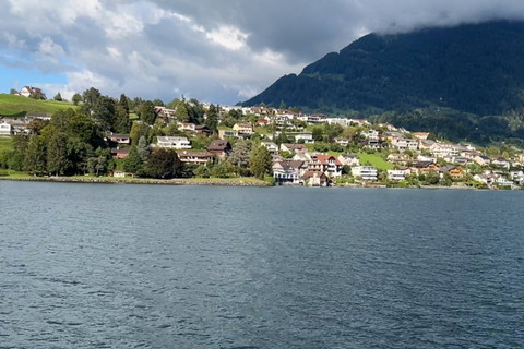Pemandangan dari dalam kapal saat berlayar di Danau Lucerne, Swiss. Foto: Reza Aditya/kumparan