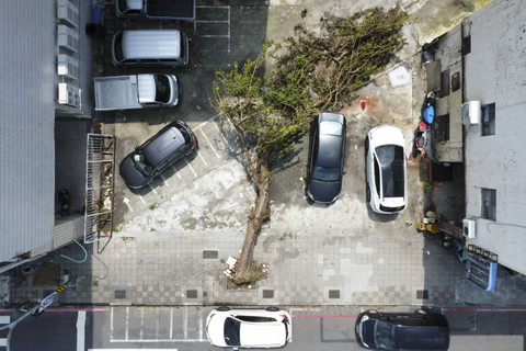 Foto udara menunjukkan pohon tumbang setelah Topan Krathon melanda Kaohsiung, Taiwan, Minggu (6/10/2024). Foto: YAN ZHAO/AFP