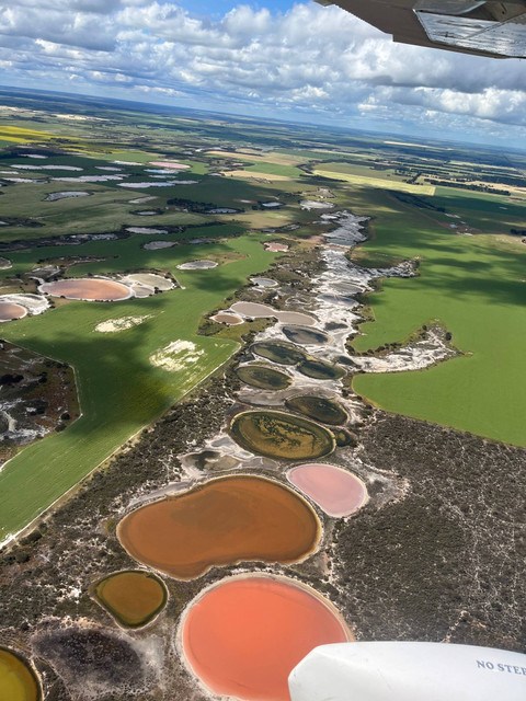 Danau pink yang dikelilingi hamparan hijau. Foto: Adhie Ichsan/kumparan