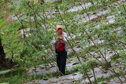 Pendanaan pengelolaan lingkungan dalam meningkatkan kesejahteraan dan ekonomi berkelanjutan masyarakat. Foto: Dok. Kemenkeu