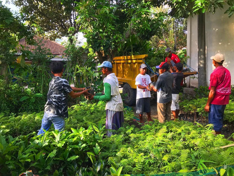 Pengadaan bibit oleh Badan Pengelola Dana Lingkungan Hidup. Foto: Dok. Kemenkeu