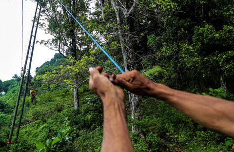 Petani memasang tali pengaman untuk memetik cengkeh saat musim panen raya cengkeh di Kelurahan Ngade Ternate, Maluku Utara. Foto: Andri Saputra/ANTARA FOTO