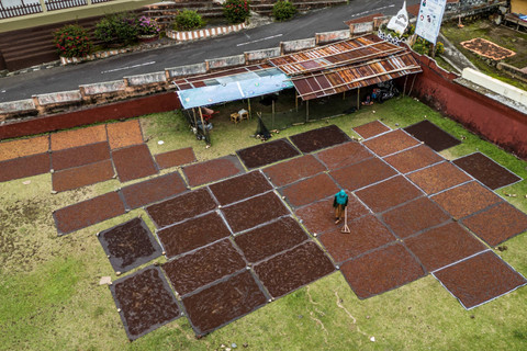 Warga menjemur cengkeh di Lapangan Gurabunga, Tidore Kepulauan, Maluku Utara. Foto: Andri Saputra/ANTARA FOTO