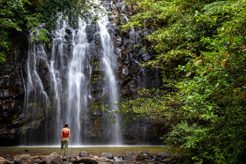 Hutan Hujan Atherton Tablelands di Cairns, Australia. Foto: Shutterstock