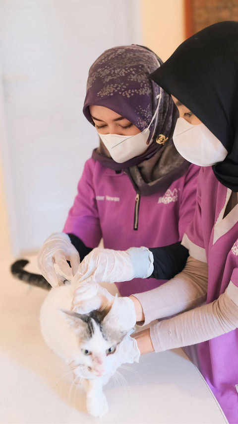 Nurul Anjar Prastiwi Founder Vetopet Animal Clinic Bakti Sosial Vaksinasi Rabies (1)