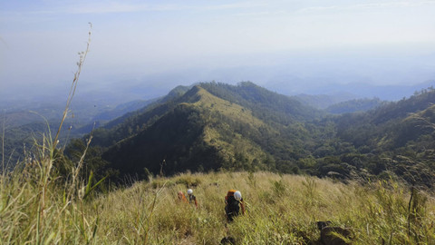 Petugas Basarnas saat melakukan pencarian Muhamad Agus (24), pendaki asal Jakarta Barat yang dilaporkan hilang di Gunung Wilis, Kabupaten Nganjuk. Foto: Dok. Basarnas Surabaya