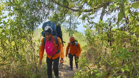 Petugas Basarnas saat melakukan pencarian Muhamad Agus (24), pendaki asal Jakarta Barat yang dilaporkan hilang di Gunung Wilis, Kabupaten Nganjuk. Foto: Dok. Basarnas Surabaya
