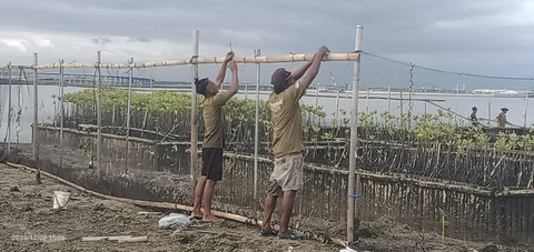 Penanaman dan perawatan Mangrove G20. Foto: Dok. PT Jasamarga Bali Tol