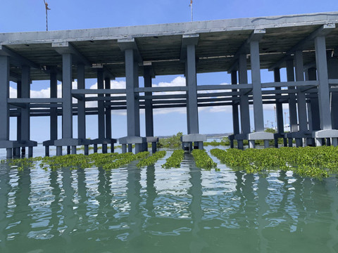 Penanaman dan perawatan Mangrove G20. Foto: Dok. PT Jasamarga Bali Tol