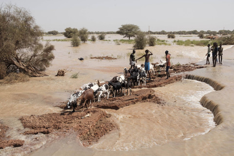Para gembala menggiring domba-domba mereka di sepanjang jalan yang rusak di Odobere, Senegal, Selasa (22/10/2024). Foto: GUY PETERSON/AFP