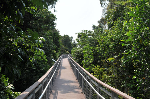 Sentosa Nature Discovery Singapura. Dok. Singapore Tourism Board (STB)