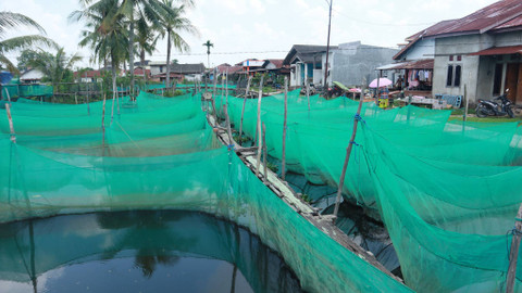 Salah satu waring ikan terbengkalai yang dipenuhi oleh eceng gondok di Kawasan Kampung Budidaya Ikan Hias, Minggu (27/10). Foto: Nyms/abp/urban id
