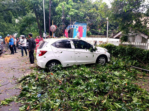 Warga dan petugas berada di lokasi 2 pohon tumbang di Jalan Cisadea, Cibenying Kidul, Bandung saat hujan deras pada Jumat (1/11). Foto: Robby Bouceu/kumparan