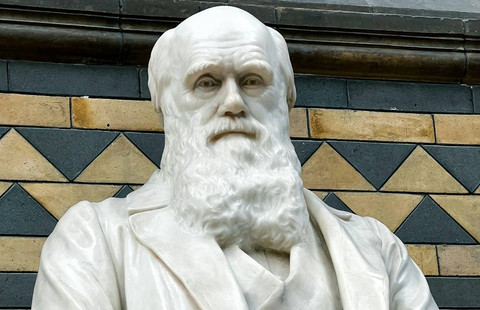 Ilustrasi Hari Evolusi 24 november - Sumber: unsplash.com/@nlangerdev