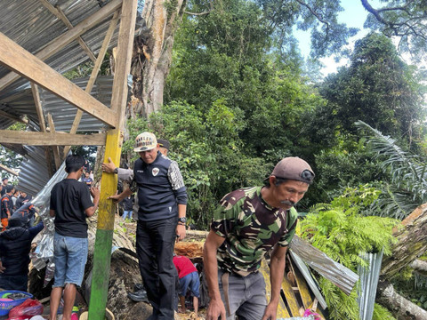 Sebanyak sembilan orang wisatawan tewas tertimpa pohon saat mengunji Situs Petta Bulue Desa Mattabulu. Foto: Dok. Istimewa