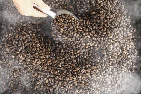 Ilustrasi biji kopi Indonesia. Foto: Auliya Rahman/ANTARA FOTO 