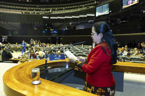 Ketua DPR Puan Maharani menghadiri forum Parlemen G20 yang diselenggarakan di Brasil. Foto: Dok. Istimewa