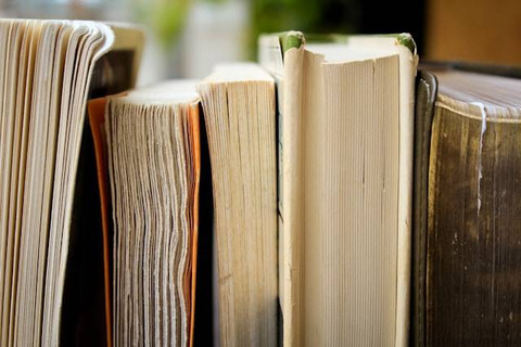 Pengertian Report Text dalam Bahasa Inggris. Foto hanya ilustrasi. Sumber foto: Unsplash/Syd