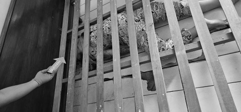 Kondisi mayat wanita tanpa identitas yang diduga korban pembunuhan di Hotel Johar, Semarang.  Foto: Dok. Polrestabes Semarang