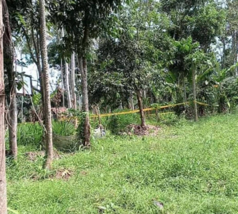 TKP pemerkosaan dan pembunuhan. Dok: Ist.