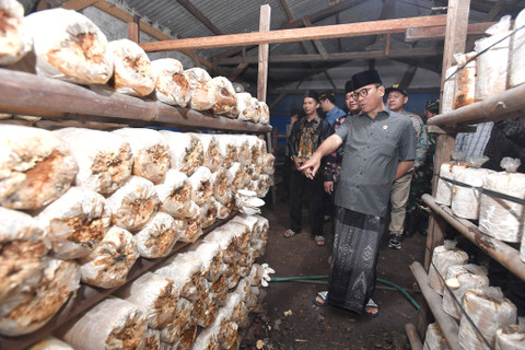 Menteri Desa dan Pembangunan Daerah Tertinggal (Mendes PDT) Yandri Susanto. | Foto: Dok Humas Kemendes