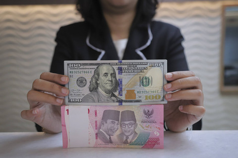 Seorang petugas menunjukkan pecahan Dolar AS dan Rupiah di kawasan Kwitang, Jakarta, Senin (18/11/2024). Foto: Iqbal Firdaus/kumparan
