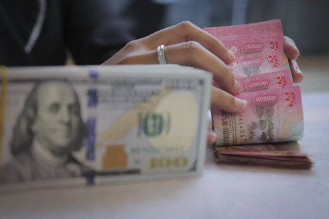 Seorang petugas menghitung pecahan Dolar AS dan Rupiah di kawasan Kwitang, Jakarta, Senin (18/11/2024). Foto: Iqbal Firdaus/kumparan