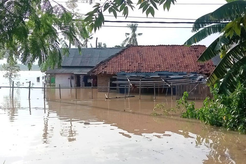 Banjir merendam rumah warga di Desa Karangligar, Kecamatan Telukjambe Barat, Karawang, Kamis (21/11/2024). Foto: kumparan