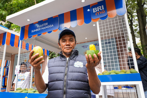 Petani mangga dari Desa Botolinggo, Kecamatan Botolingo, Bondowoso, Abu Sufyan berhasil mengembangkan usahanya berkat pemberdayaan dari BRI. Foto: Dok. BRI